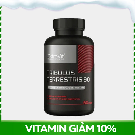 Tribulus Terrestris 90 (60 Viên)