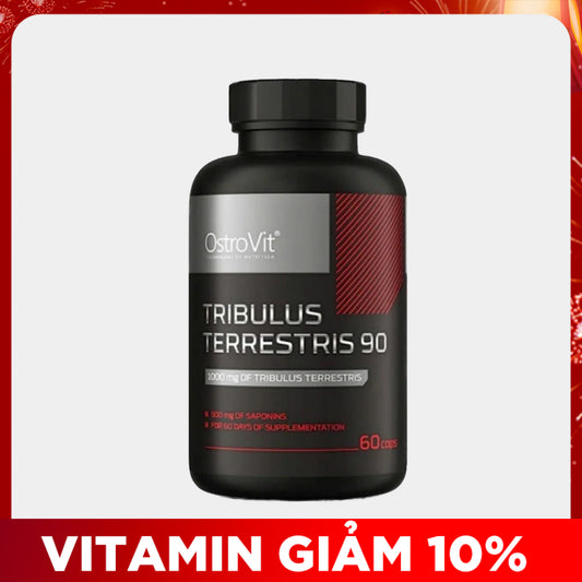 Tribulus Terrestris 90 (60 Viên)